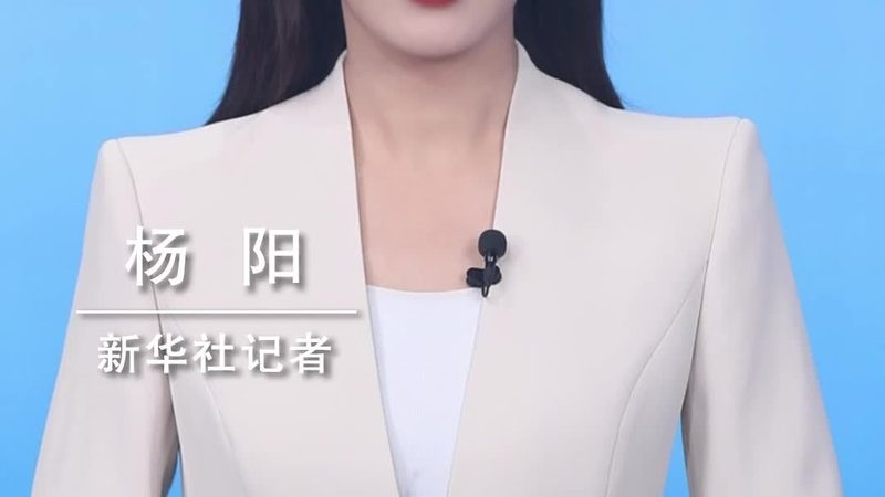 数据中台标准规范：构建高效数据治理体系的基石